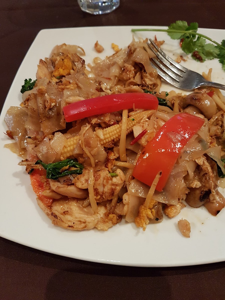 Ban Chiang Thai Restaurant Photo 5
