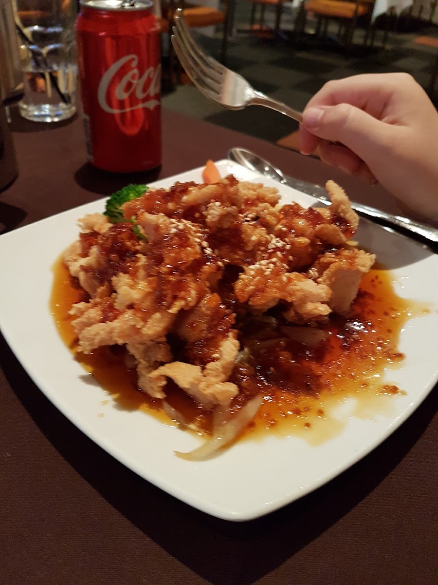 Ban Chiang Thai Restaurant Photo 9